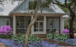 Snow Globe Gardenia - 3 Gallon Pot 13 Snow Globe Gardenia - 3 Gallon Pot -FRUIT TREES & PLANTS Shop gardenia jasminoides snow globe 2